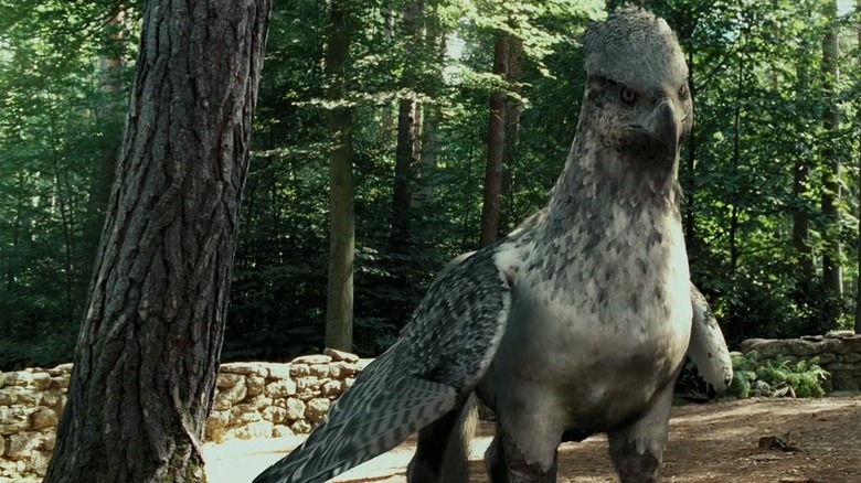 Buckbeak the hippogriff in Harry Potter