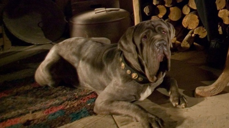 Fang the dog in Harry Potter