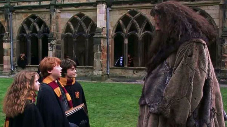 Hagrid talks to Harry and the others