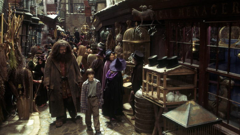 Hagrid and Harry in Diagon alley