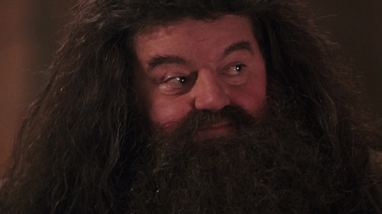 Hagrid smiling with tears in his eyes