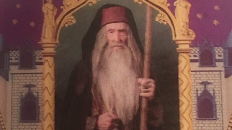 Merlin on his Chocolate Frog Card