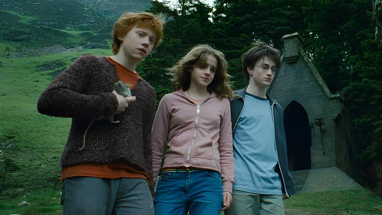 Ron Weasley, Hermione Granger, and Harry Potter standing on a hill