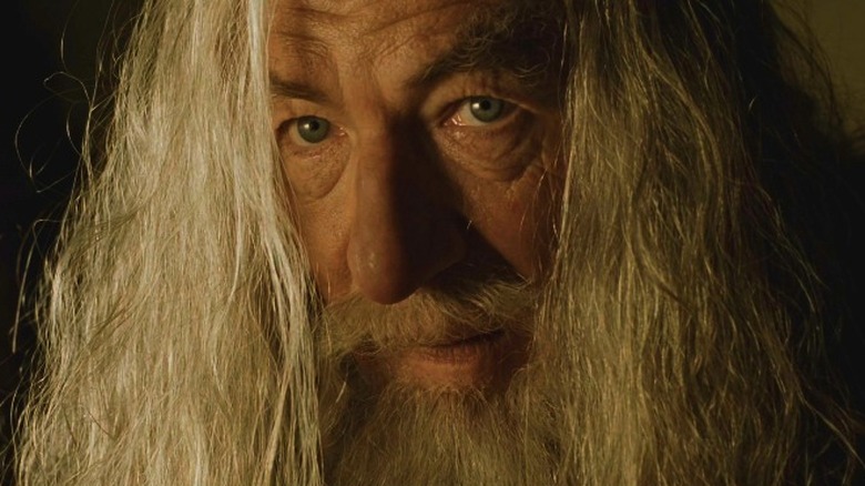 Ian McKellen in The Fellowship of the Ring