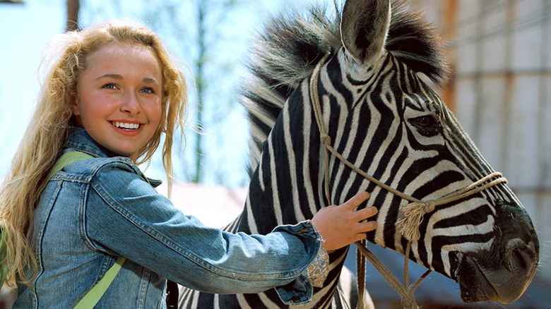 Hayden with a zebra