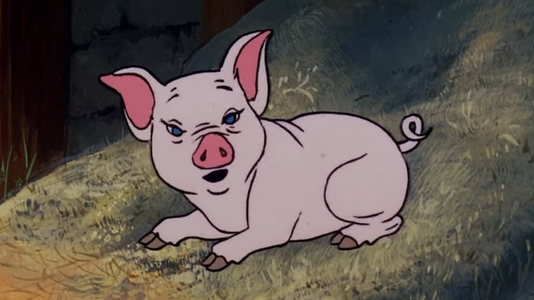 Charlottes Web Animated Wilbur Confused