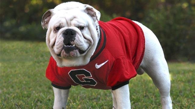 UGA Facebook