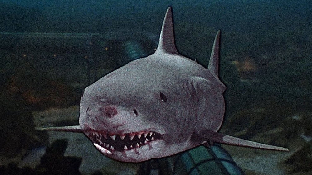 Jaws 3-D