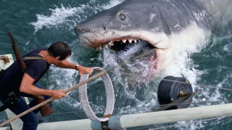 Brody fighting great white shark