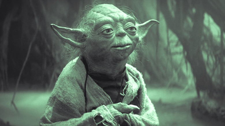 Yoda standing in the swamp