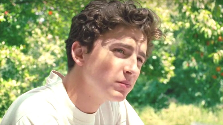 Watch Armie Hammer & Timothee Chalamet in New 'Call Me by Your