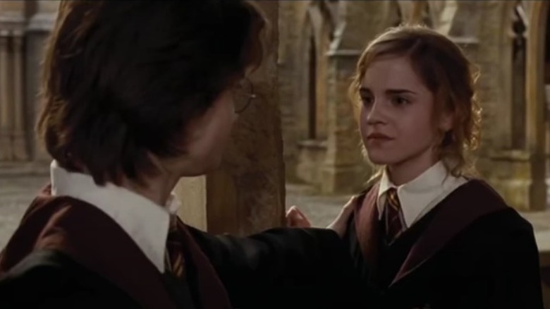 Hermione and Harry talking