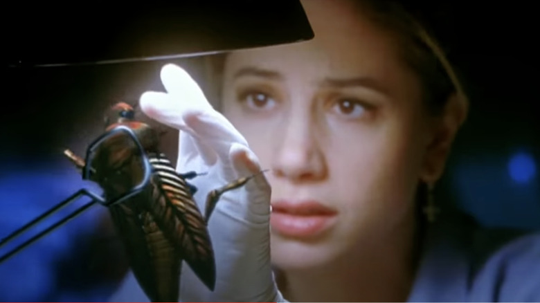 Mira Sorvino examines Judas bug