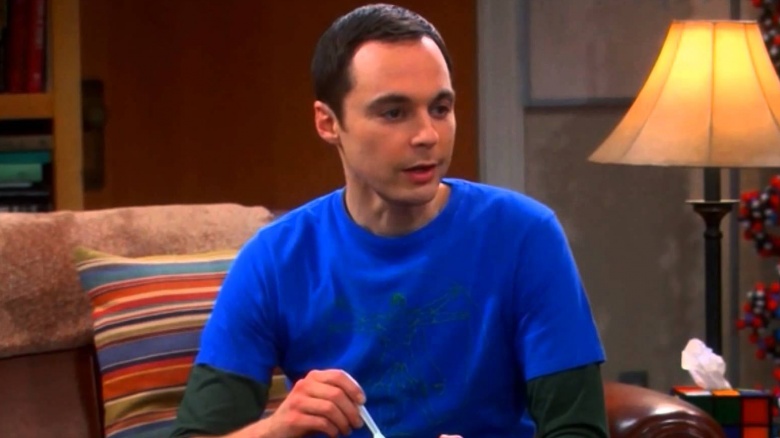 Hidden Things You Missed In The Big Bang Theory