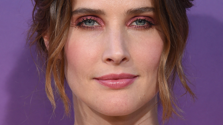 Cobie Smulders in pink eye shadow