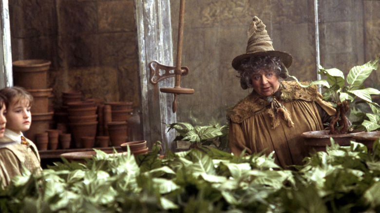 Ponoma Sprout teaching Herbology