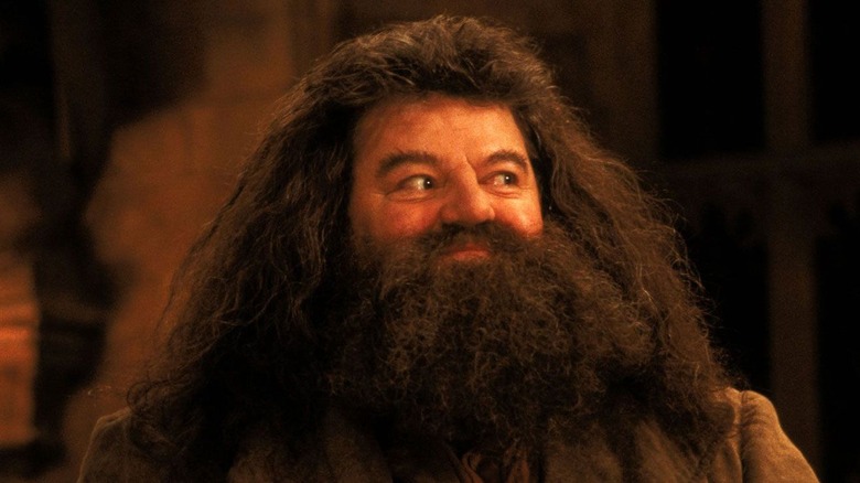 Hagrid smiling