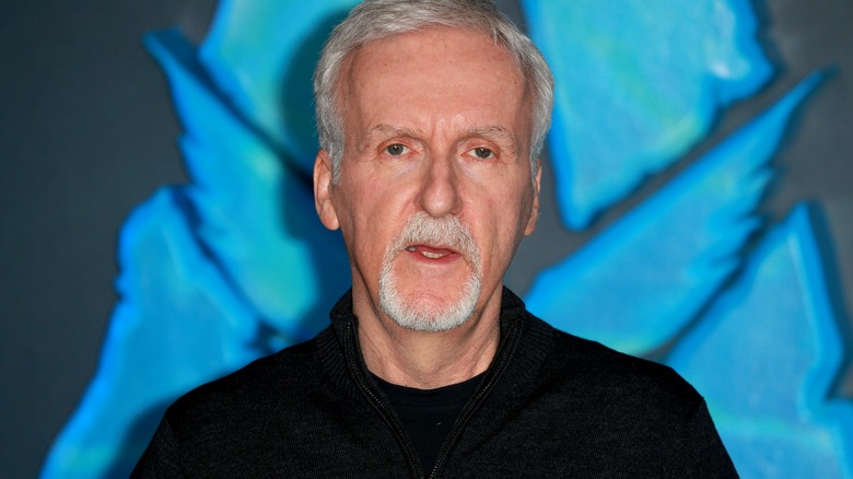 James Cameron on the red carpet