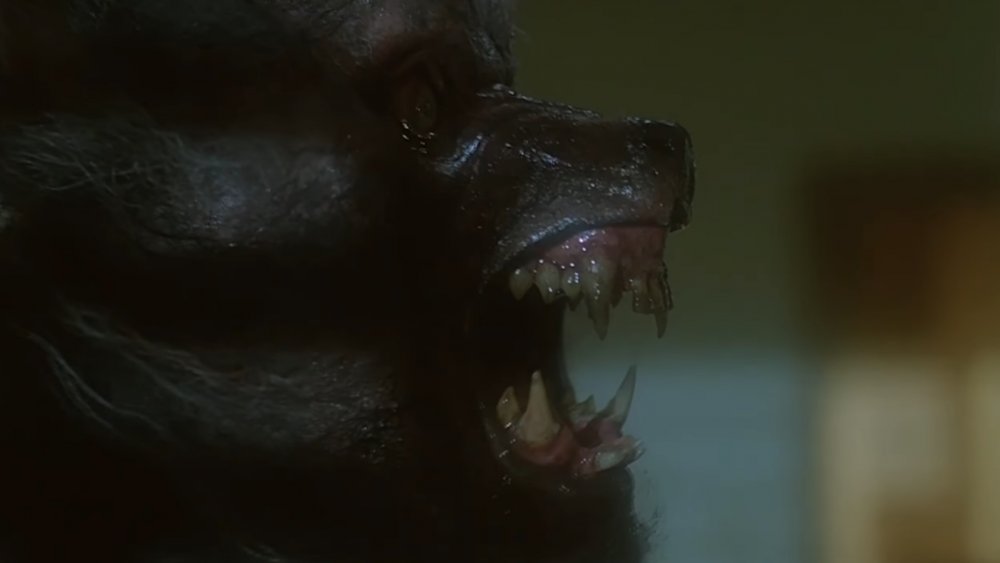 Scene from The Howling