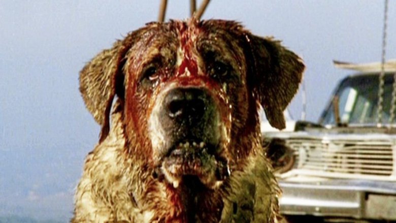 cujo