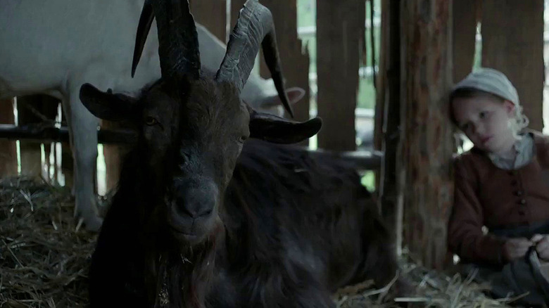 Kid looks at Black Phillip