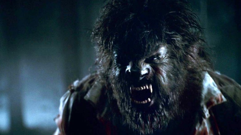 The wolfman gnashing teeth