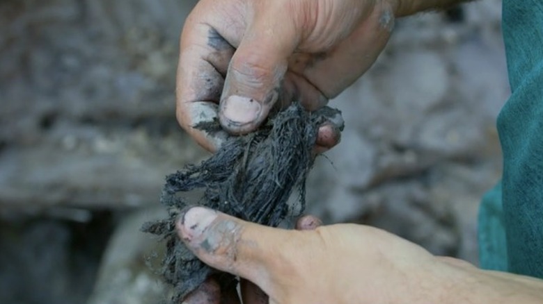 ECU of coconut fiber in hands