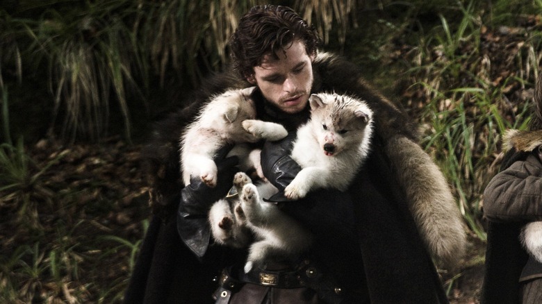 Robb holding Grey Wind puppy