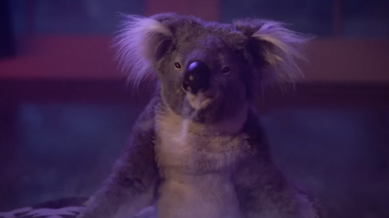 Koala in House Party reboot