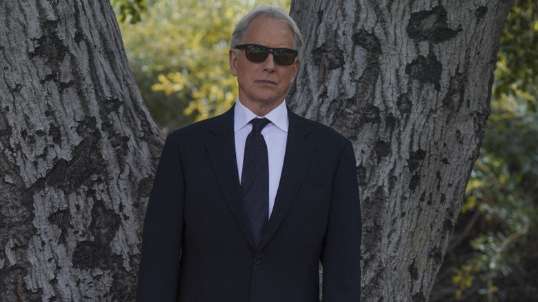 Gibbs stands in front of a tree in sunglasses