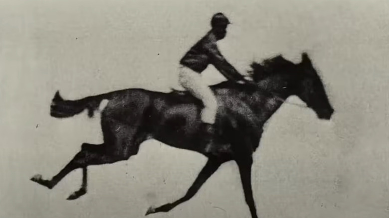 The black horse rider from archival footage in Nope