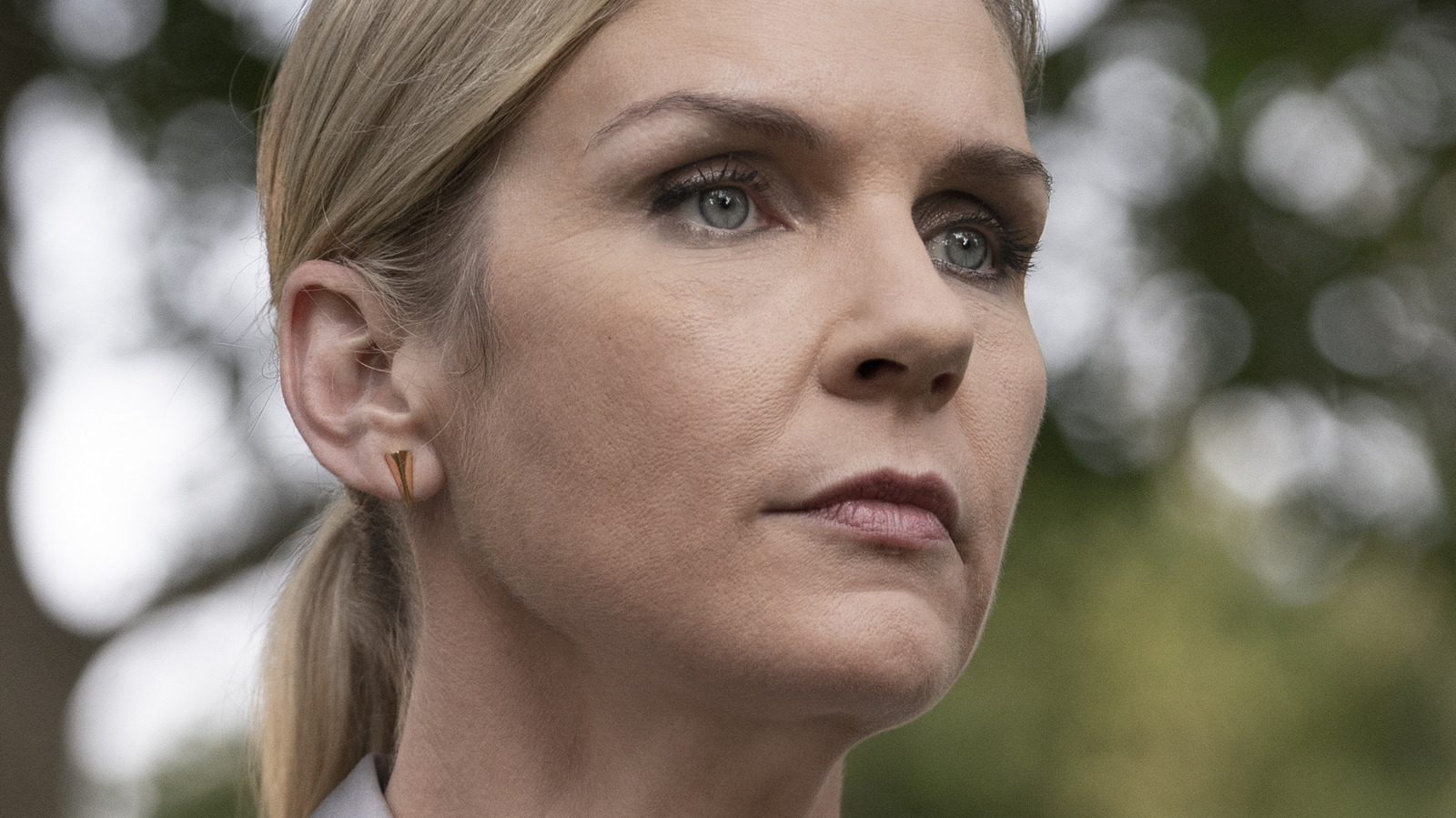 The Case for Better Call Saul's Rhea Seehorn