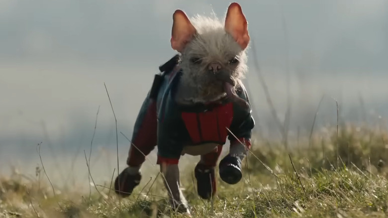 How Britain's Ugliest Dog Peggy Transformed Into Deadpool & Wolverine's Dogpool