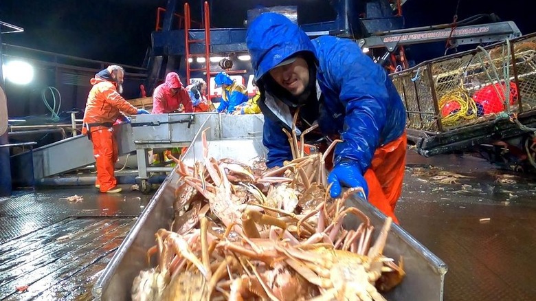 Joe pushing crabs down slide