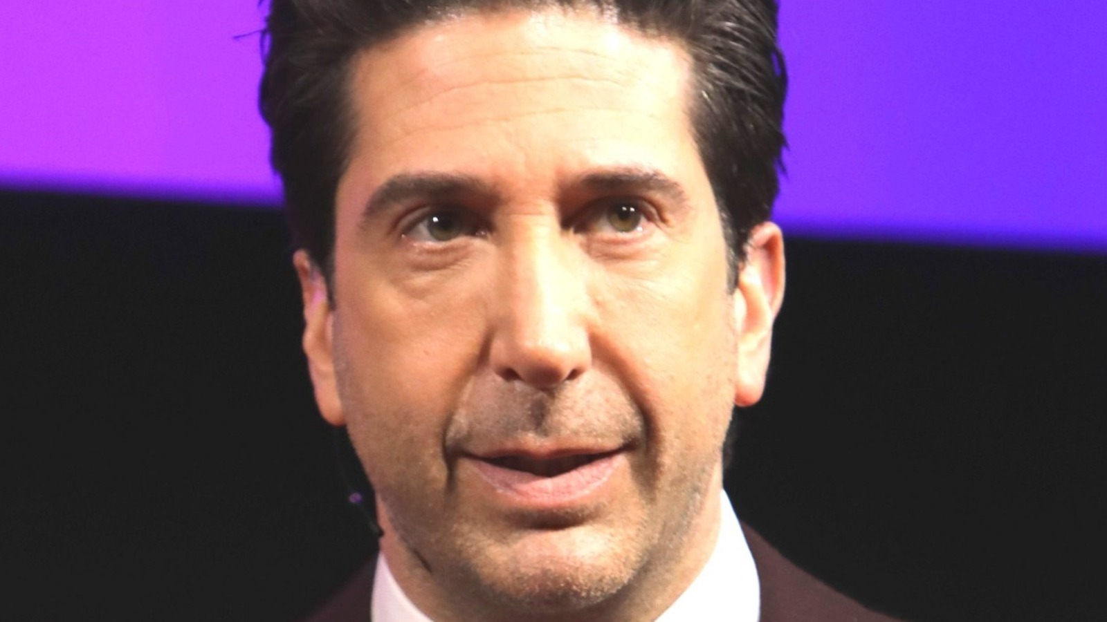 How Friends Ruined David Schwimmer's Acting Career