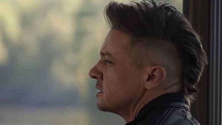 Hawkeye in profile