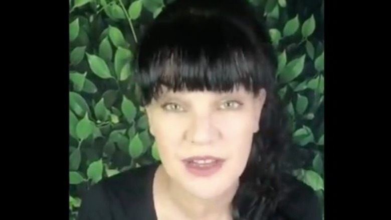 Pauley Perrette