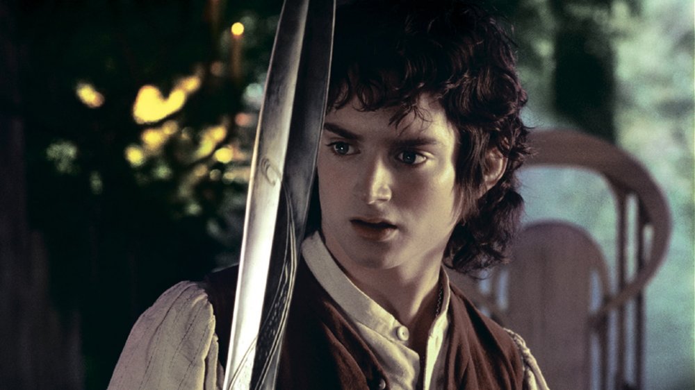 Elijah Wood, The Fellowship of the Ring