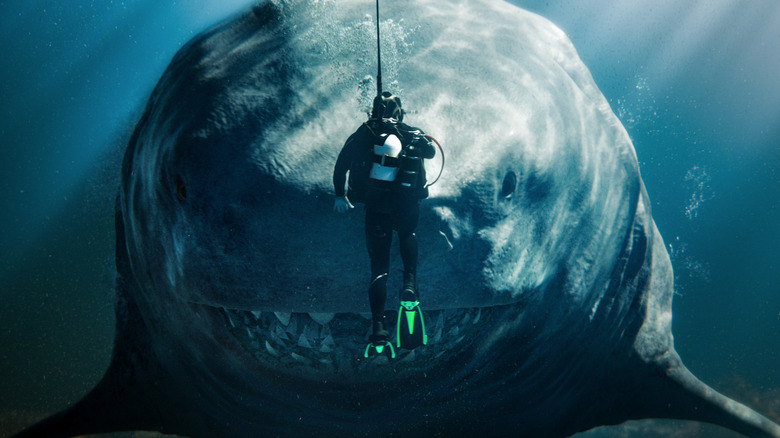 Scuba diver swimming in front of megalodon