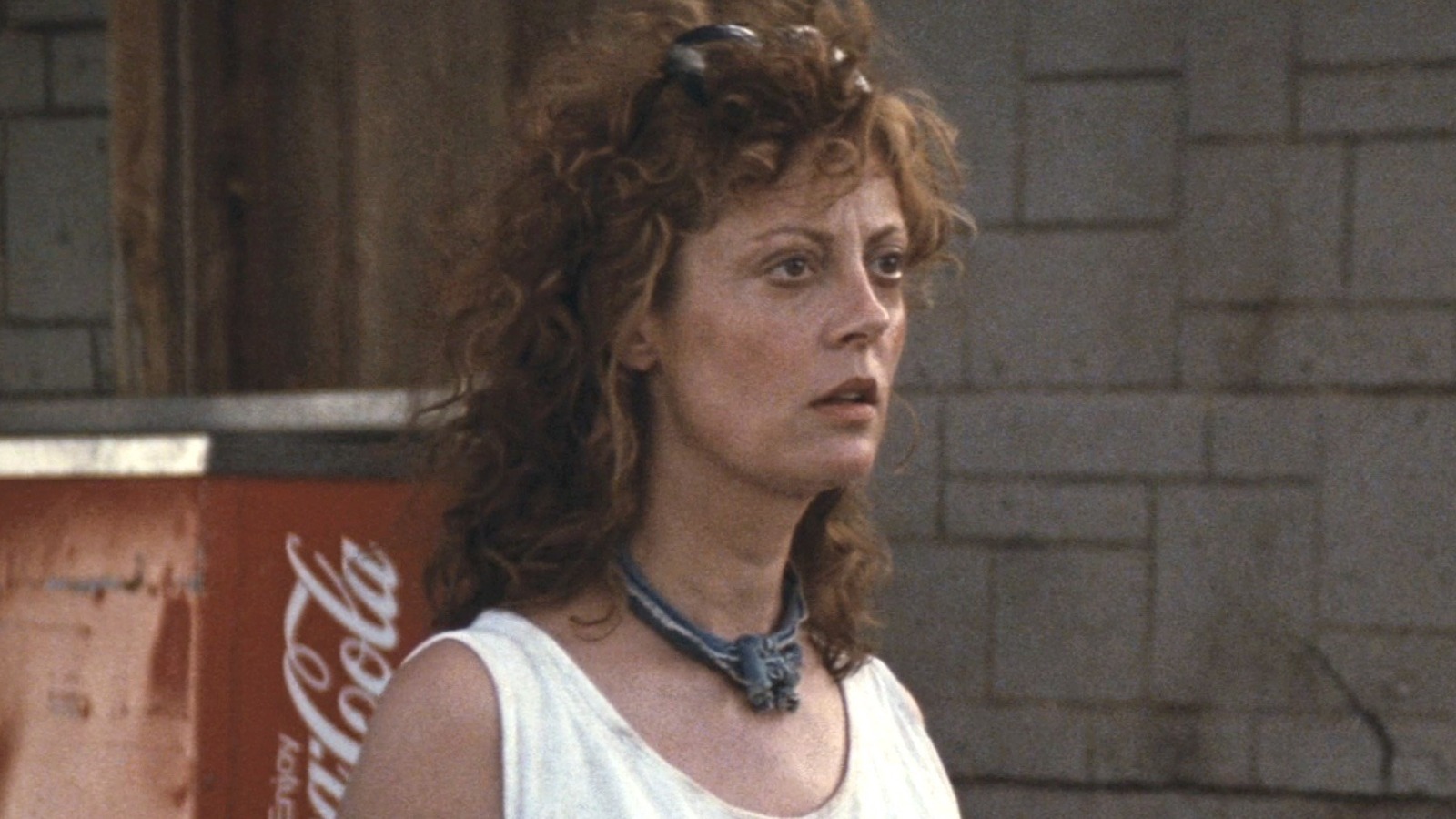 How Susan Sarandon Changed The Direction Of Thelma & Louise