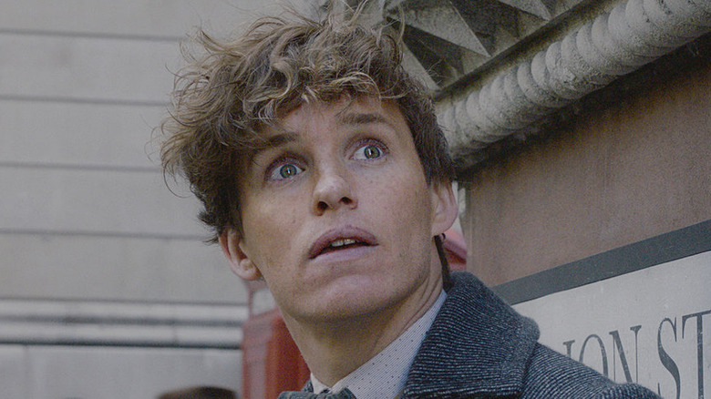 Newt Scamander