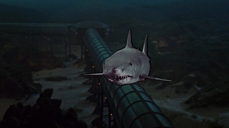 The shark swimming through the aquarium in Jaws 3-D