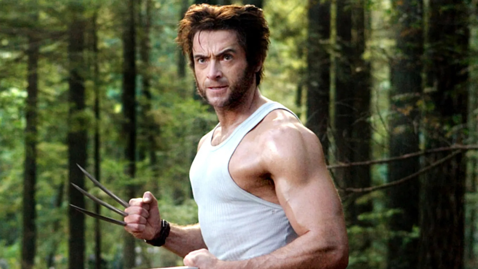 Hugh Jackman's Wolverine & Tobey Maguire's Spider-Man Unite In Secret ...