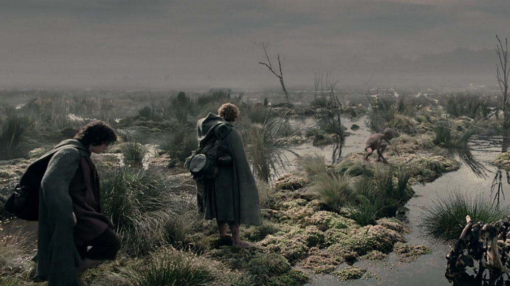 Frodo and Sam walking in Dead Marshes