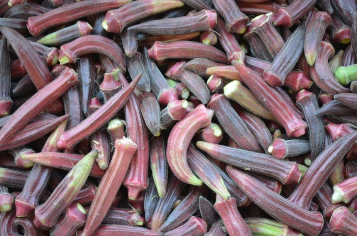 Red Okra from Suzie's Farm via Flickr