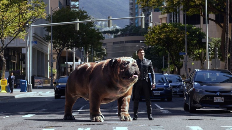 Blackbolt and Lockjaw in Hawaii