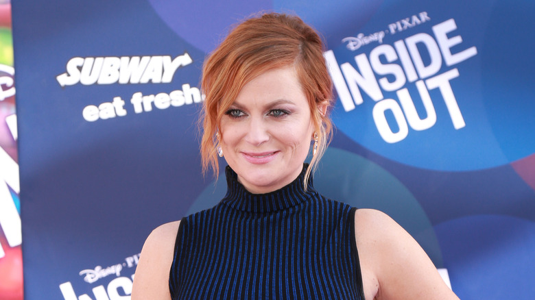 Amy Poehler smiling