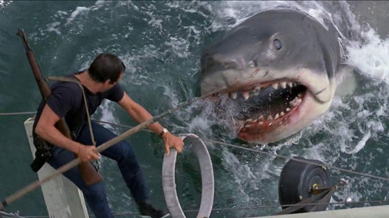 Sailor holds boat and stabs Jaws"