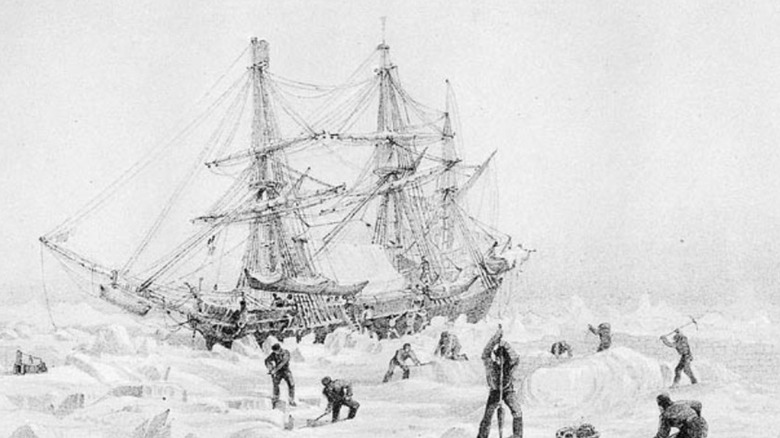 The HMS Terror in the ice