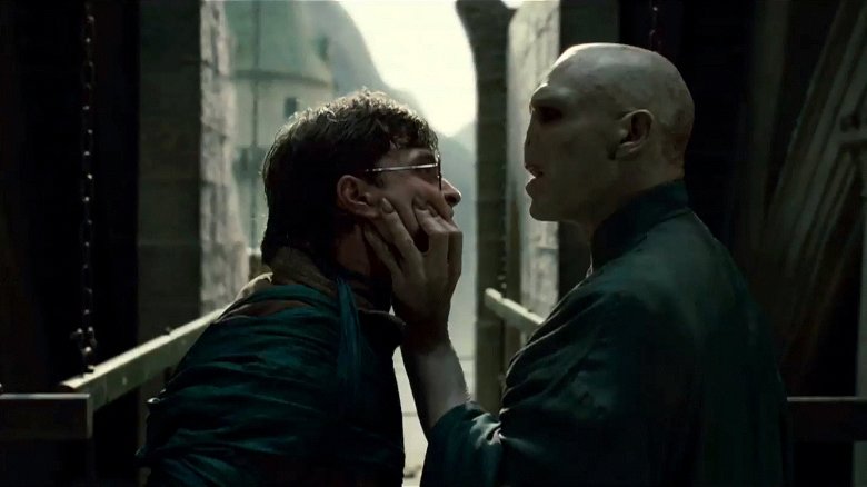 Harry Potter and Voldemort